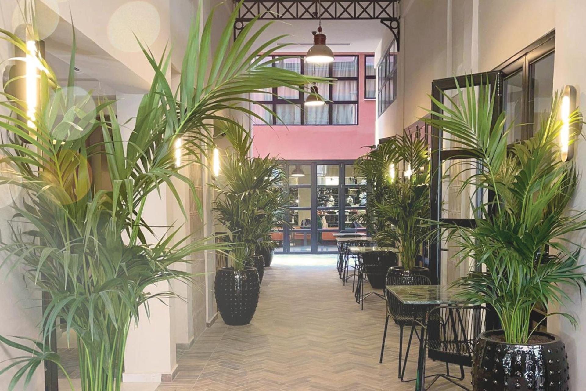 Anise, Aluma Hotels & Resorts Athen Exterior foto